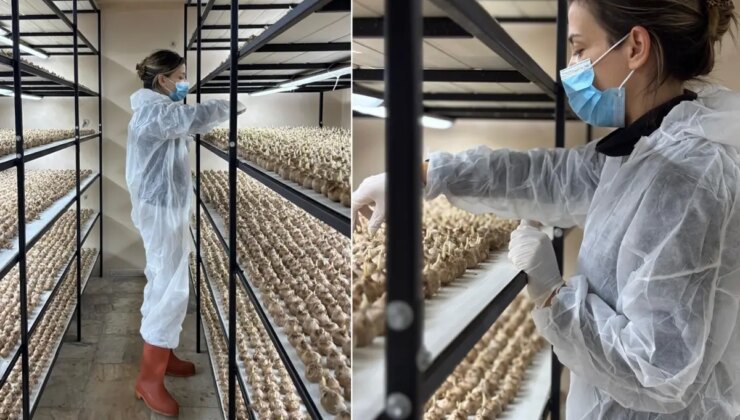 100 bin lira maaşlı işi bırakıp sektör değiştirdi! Kilosunu 700 bin liraya satıyor