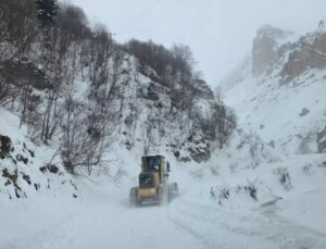 Artvin’de çığ düştü: 3 çoban çığ altında kaldı
