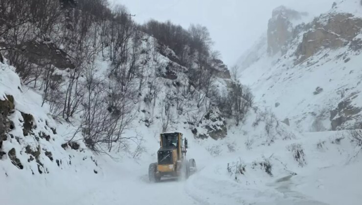 Artvin’de çığ düştü: 3 çoban çığ altında kaldı