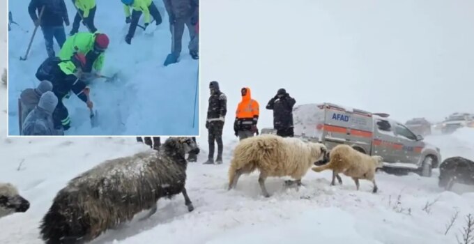 Artvin’deki çığ felaketinden acı haber geldi
