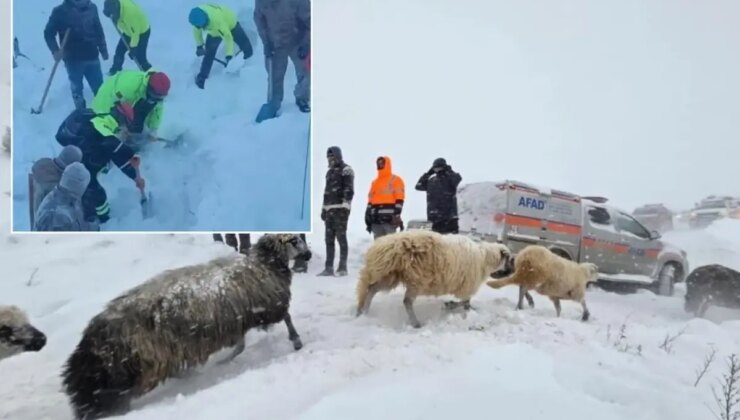 Artvin’deki çığ felaketinden acı haber geldi