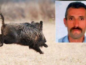 Avlamak istediği domuz talihsiz adamın sonu oldu