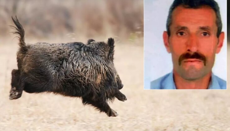 Avlamak istediği domuz talihsiz adamın sonu oldu
