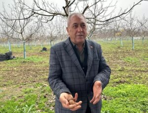 Bir köyü zengin eden ürün! Doktorlar, iş insanları buraya akın ediyor