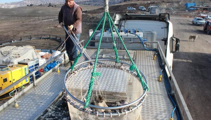 Bozkırın ortasında yetişti, Rusya ve Japonya yolcusu oldu