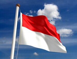 Endonezya’da huzurevinde çıkan yangında 16 kişi hayatını kaybetti