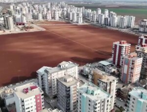 Herkes sattı, o direndi! Betonun ortasında bakın ne yapıyor