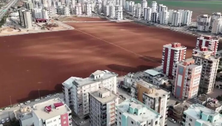 Herkes sattı, o direndi! Betonun ortasında bakın ne yapıyor