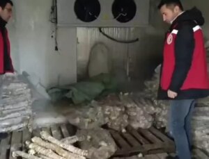 Manisa’da 4 milyon liralık bozuk kokoreç imha edildi