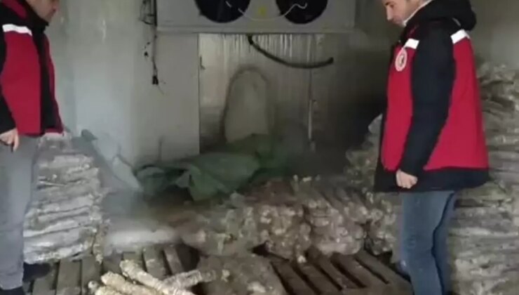 Manisa’da 4 milyon liralık bozuk kokoreç imha edildi