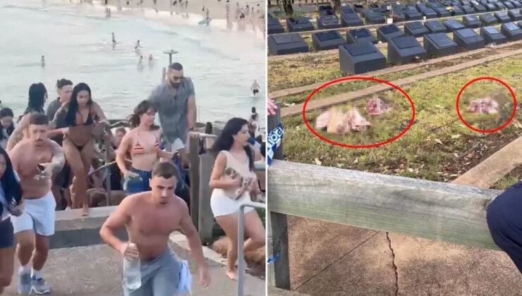 Plaj katliamı sonrası Müslüman mezarlığına domuz kafaları bırakıldı