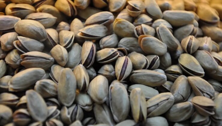 Resmi Gazete’de yayımlandı! Antep fıstığıyla ilgili önemli karar