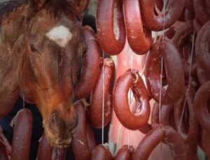 Vatandaşa at eti yedirmişler! Bakanlık, markayı da üretildiği ili de ifşa etti