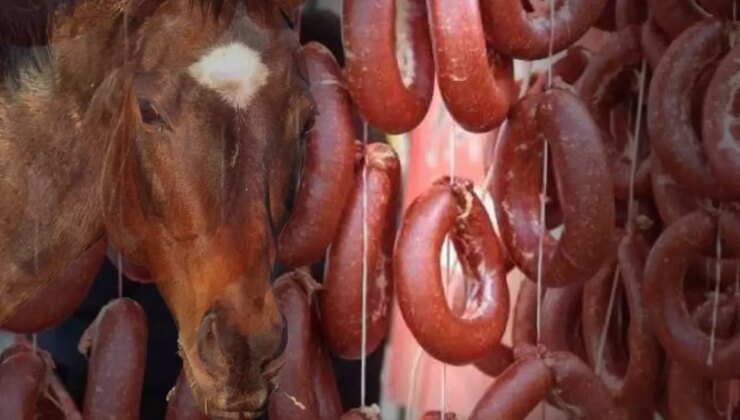Vatandaşa at eti yedirmişler! Bakanlık, markayı da üretildiği ili de ifşa etti