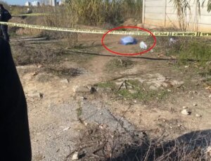 Yol kenarında kadın cesedi bulundu